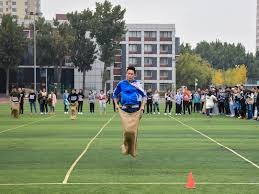 博弈心理学：为什么“追数”心态会导致大脑前额叶皮层的功能暂时性关闭？（博弈心理学视角：“追数”为何会引发前额叶皮层的短暂功能抑制）