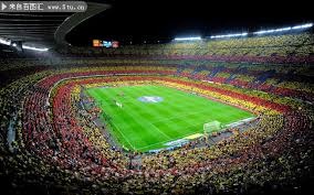 帕利尼亚：请球迷继续支持我们，我们是场上唯一想赢的球队