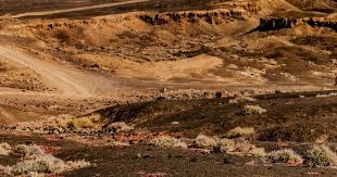 15战全败四川男篮官宣：李金效左跟腱部分撕裂 预计伤停6-8周